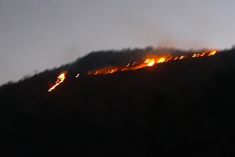 पहाड़ी क्षेत्र में लगी आग