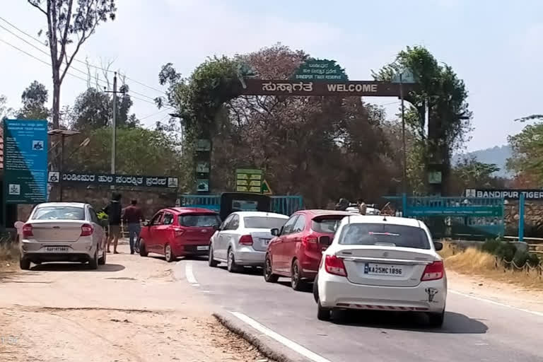 E-Pass illegal business at Bandipur-Tamil Nadu border