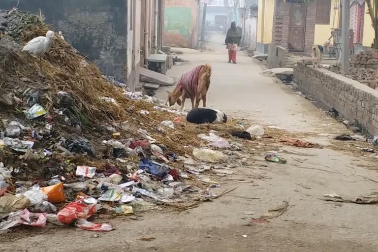 करमपुर चौधरी गांव बदहाल