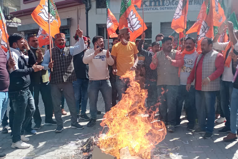 Congress effigy burnt in Nahan protest against misbehavior with governor