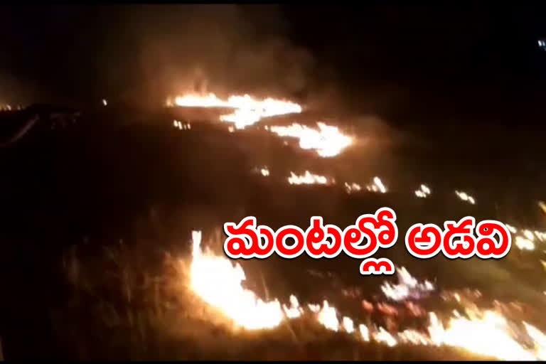 fire accident in forest  kawadipally village in abdullapirmet mandal in rangareddy district