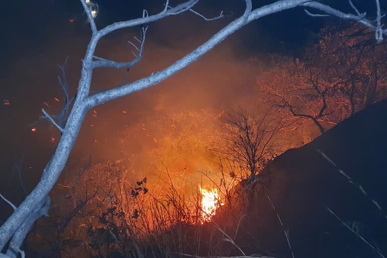 Fire in wooded area of Canary Mountains in Hazaribag