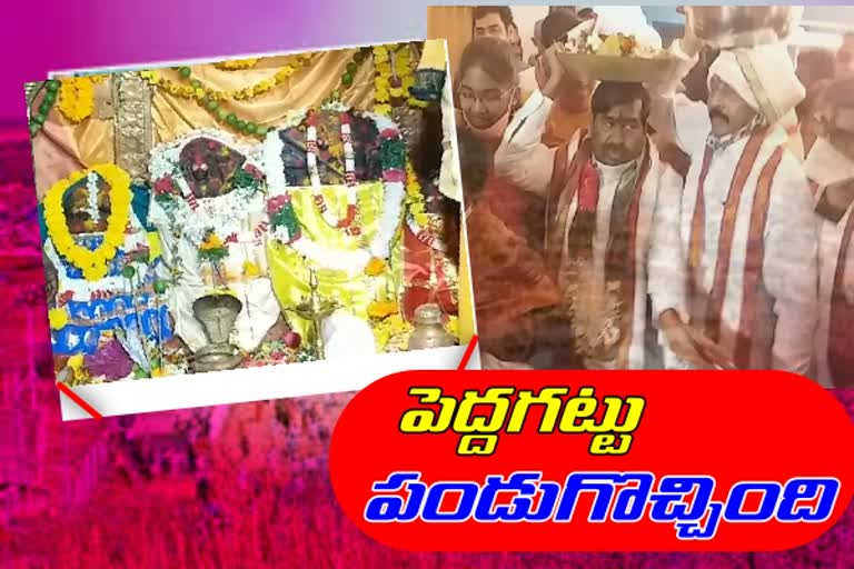 peddagattu-jathara-celebrations-in-suryapet