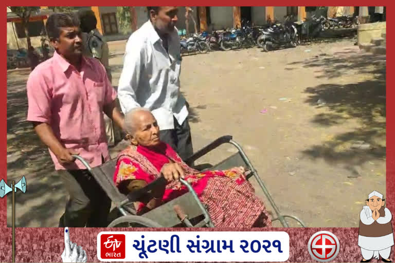 મહુવાના મતદાતા