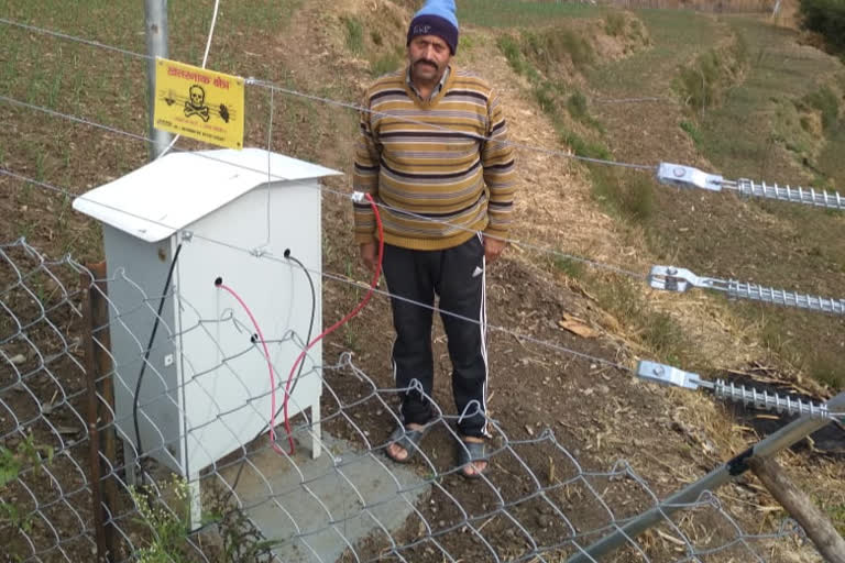 solar powered fence