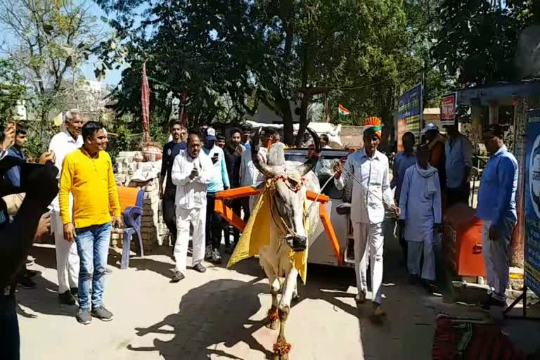 shiva-nandi-shala-made-an-enjoyable-start-to-nandi-safari-yatra-in-tohana