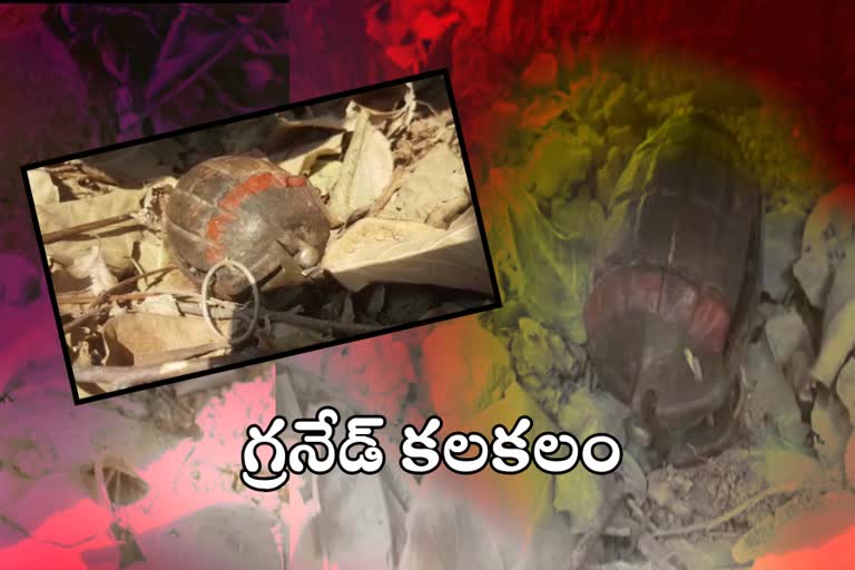 a-grenade-was-found-at-dharmagutta-in-mahabubnagar-district