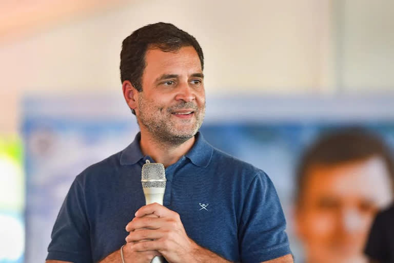 TN should show the way to India in keeping out BJP, oust CM: Rahul Gandhi