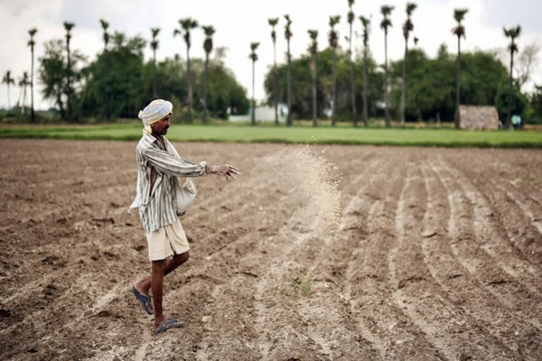 In Chhattisgarh, e-auction of surplus paddy to start fromIn Chhattisgarh, e-auction of surplus paddy to start from March 3 March 3