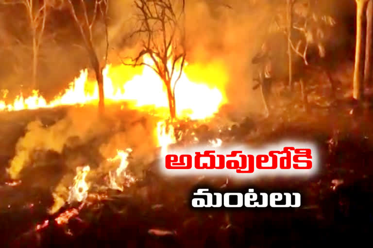 FIRE IN NALLAMALA