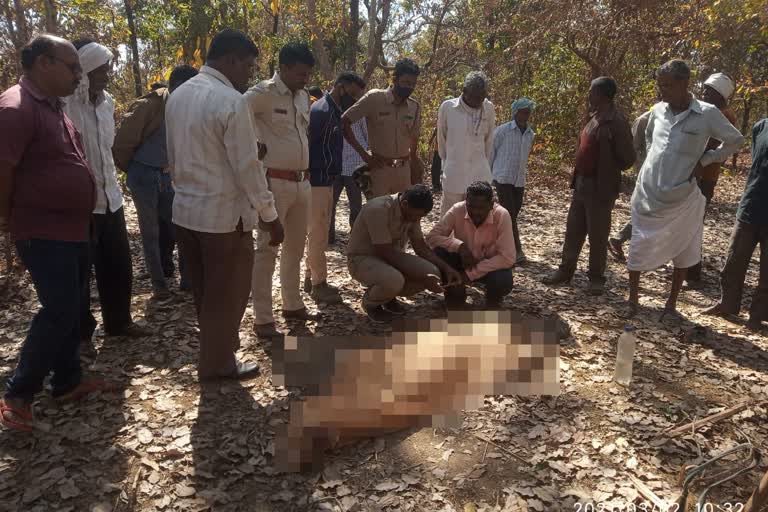 one died in tiger attack in gondia