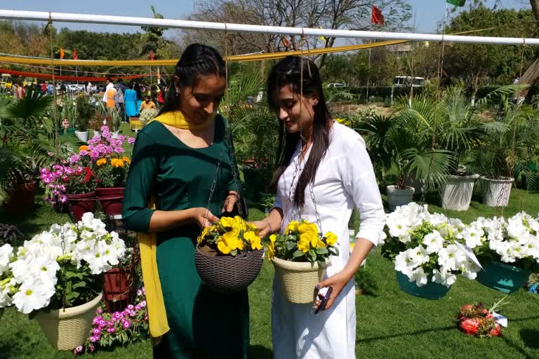 guru jambheshwar university flower fair