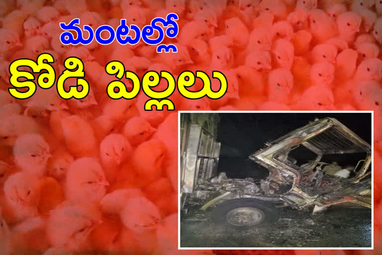 Chickens burned in the fire in yadadri district Rs. 2 lakh loss