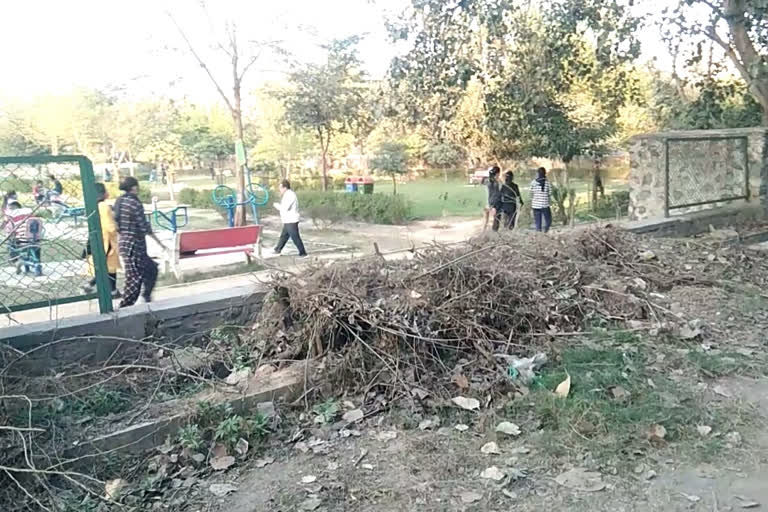 People facing problem due to litter pile in a park of Dwarka Sector 11