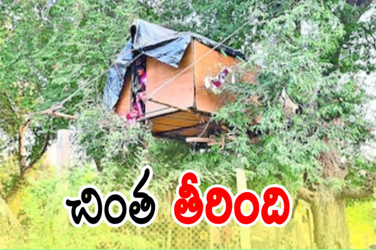 room-construct-on-tree-at-narasingapuram-located-in-chittoor-district in andhra pradesh