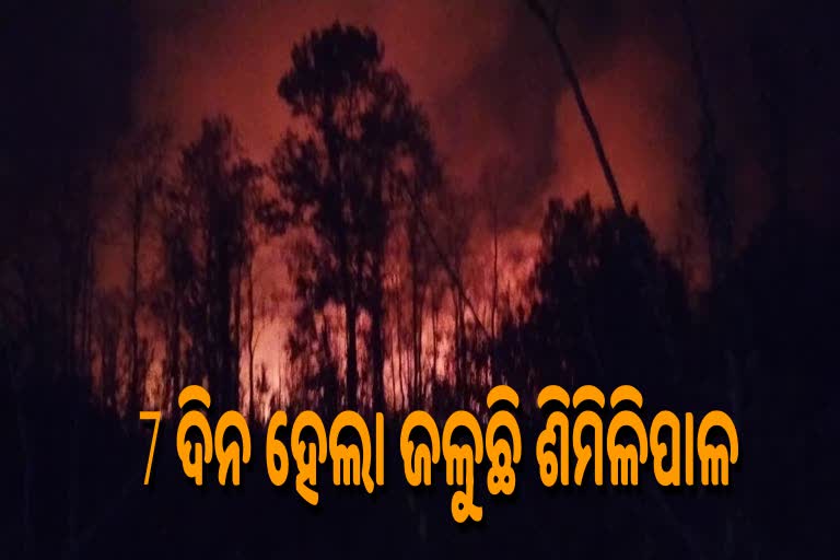 ଶିମିଳିପାଳରେ ନିଆଁ; ଉଦବେଗ ପ୍ରକାଶ କଲେ କେନ୍ଦ୍ରମନ୍ତ୍ରୀ ପ୍ରତାପ ଷଡଙ୍ଗୀ