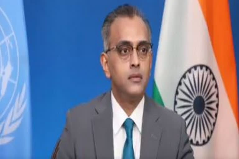 Terrorism in Syria increasing due to external actors: India at UN