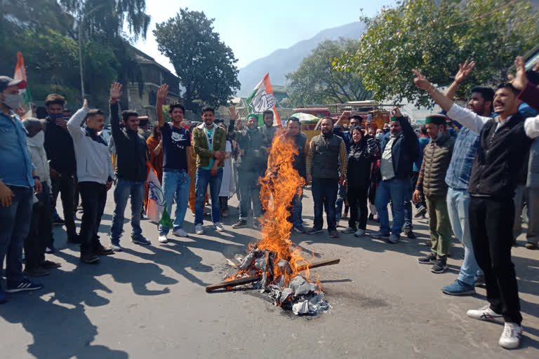 Youth Congress protests by burning effigy of deputy speaker Hansraj in rampur