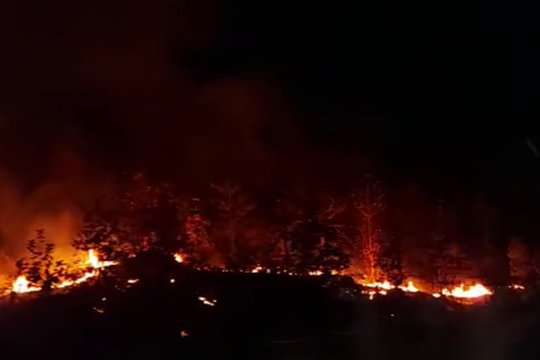 Forest fire in Kasara area