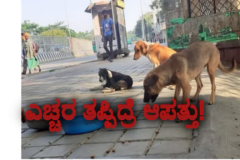 Actions to control the problem of street dogs