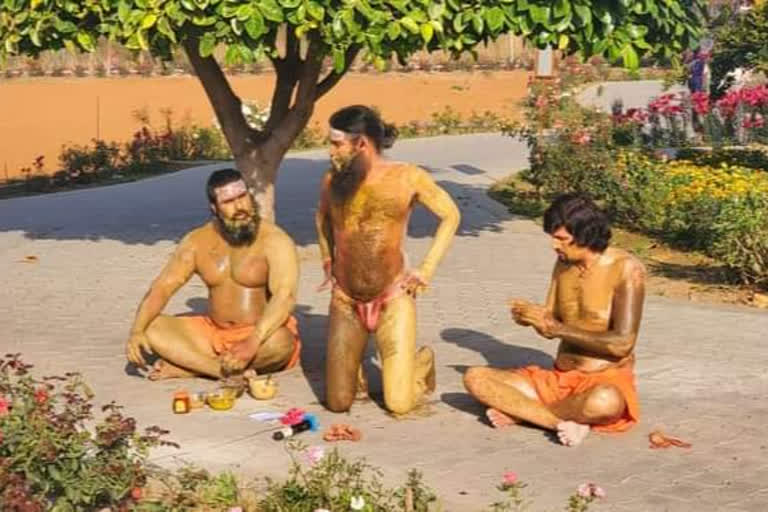 baba ramdev