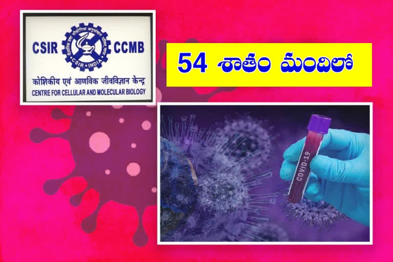 హైదరాబాద్‌లో 54 శాతం మందిలో కొవిడ్‌ యాంటీబాడీలు: సీసీఎంబీ