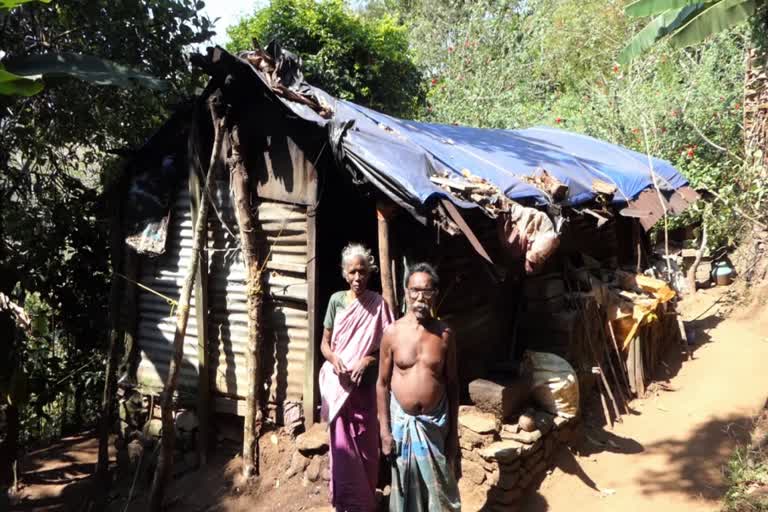 തല ചായ്‌ക്കാന്‍ അടച്ചുറപ്പുള്ള വീട്  വീടെന്ന സ്വപ്‌നവുമായി ദമ്പതികള്‍  owning a house is dream for idukki couple  idukki  idukki local news  ഇടുക്കി  ഇടുക്കി പ്രാദേശിക വാര്‍ത്തകള്‍