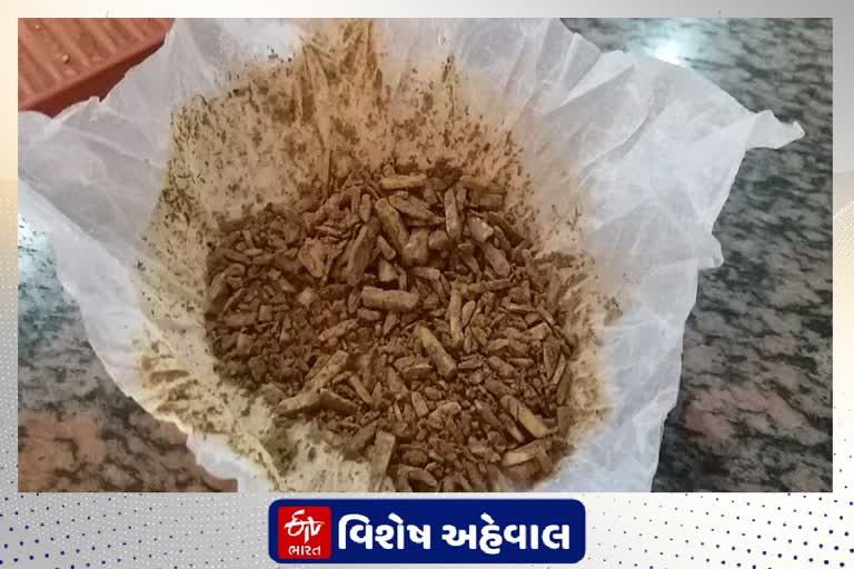 સૌરાષ્ટ્રમાં