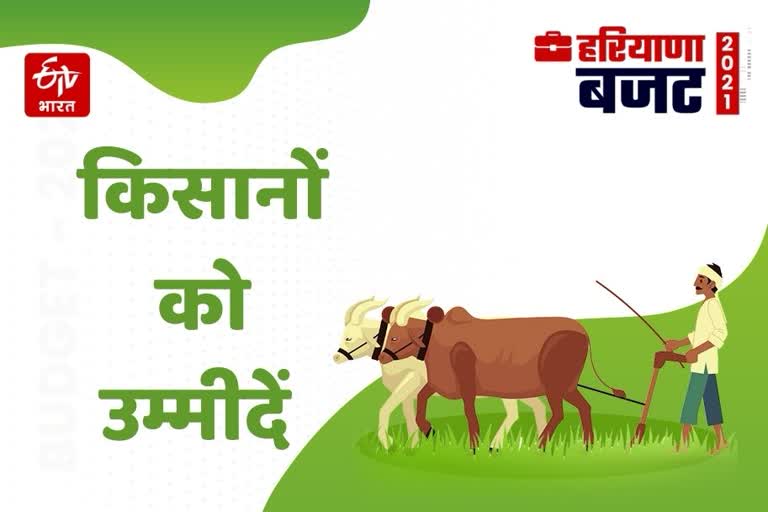 farmers reaction on Haryana Budget 2021