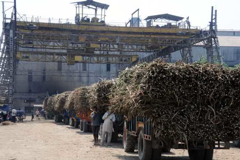 cooperative Sugar Mill