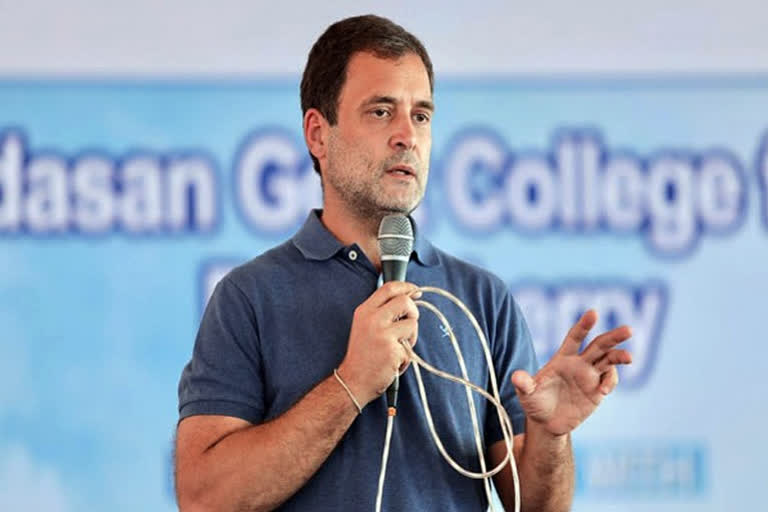 Rahul ganBJP asks EC to stop Rahul Gandhi from campaigning at Tamilnaduhi