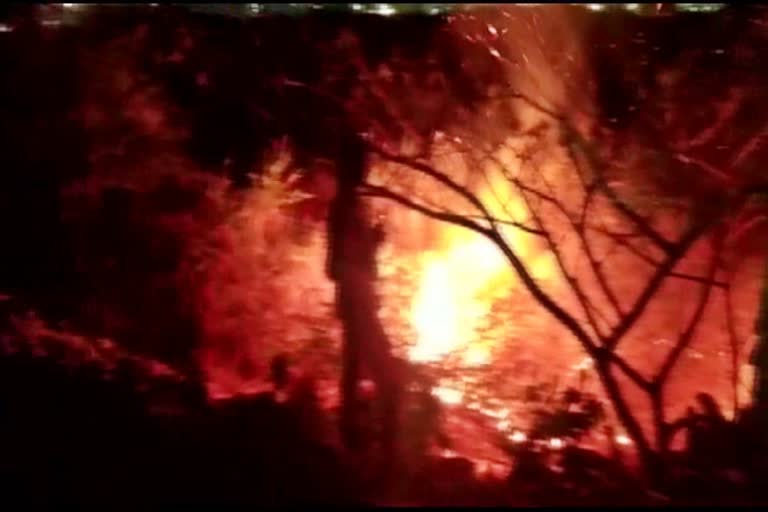 fire broke out at Bellandur Lake