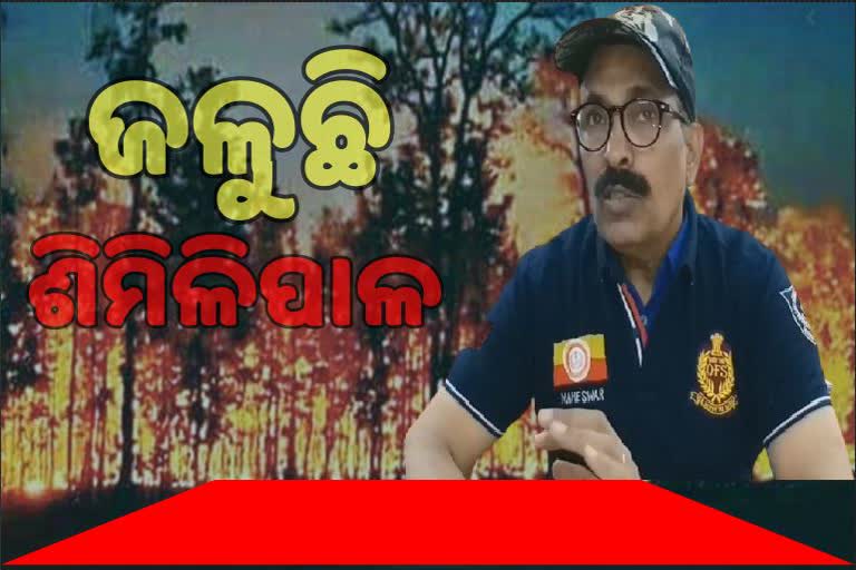 ସଚେତନତା ଅଭାବରୁ ଜଙ୍ଗଲରେ ନିଆଁ ଲାଗୁଛି; ଅଗ୍ନିଶମ ଅଧିକାରୀ