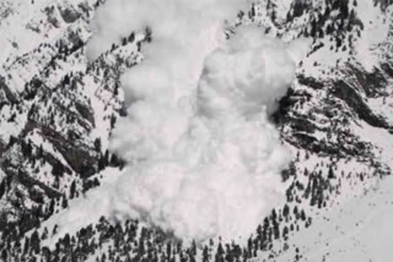 14 killed, 5 injured in an avalanche in afghanistan