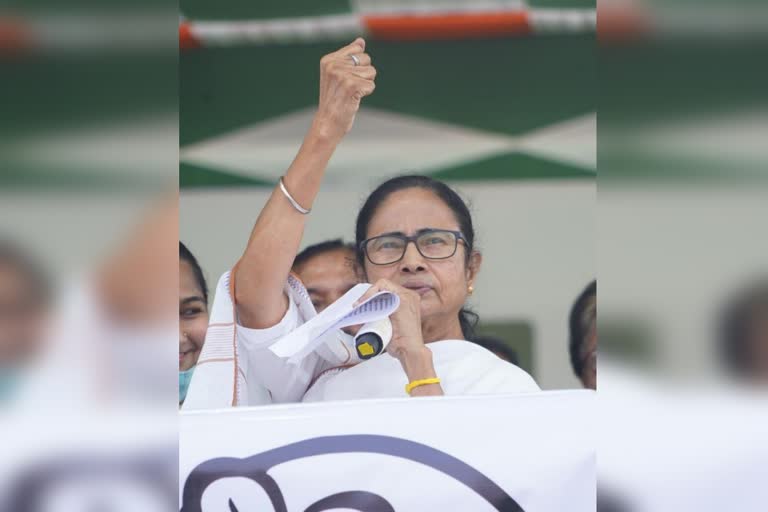 mamata