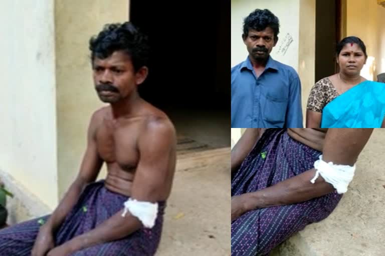 Neighbor violence in Kollam; Mother and son injured  കൊല്ലം അഞ്ചലിൽ അയൽവാസിയുടെ ആക്രമണത്തിൽ അമ്മയ്‌ക്കും മകനും പരിക്ക്.  കൊല്ലം  അഞ്ചൽ  kollam  anchal  anchal police  അഞ്ചൽ പൊലീസ്