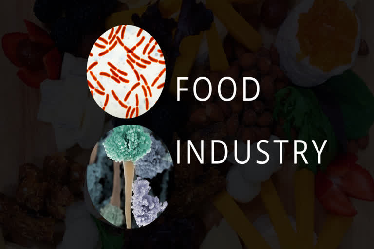 Microbes use in food industry