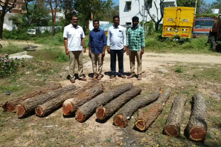 red sandalwood Smuggling