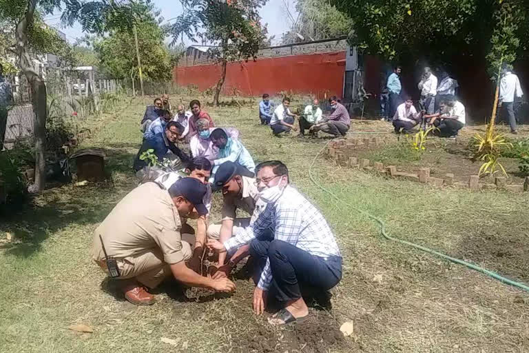 Planting on CM's birthday