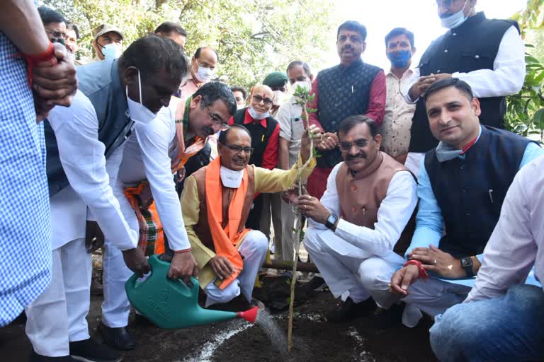 CM Shivraj celebrates birthday as tree festival