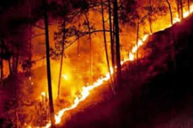 Karelagarh forest fire in Rajnandgaon