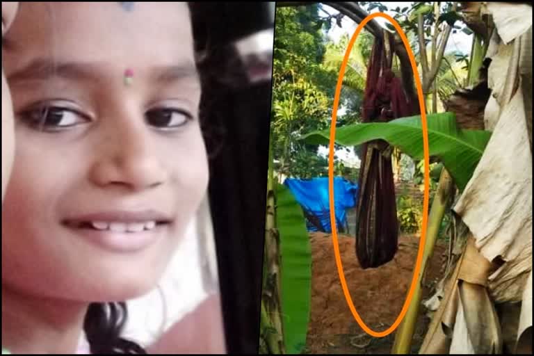 girl-dies-accidently-while-playing-in-swing