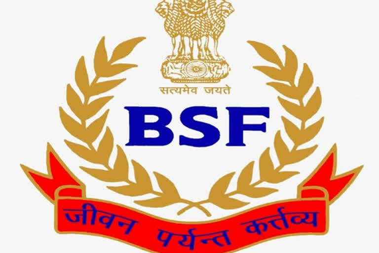 Pak intruder killed by BSF along international border in Rajasthan