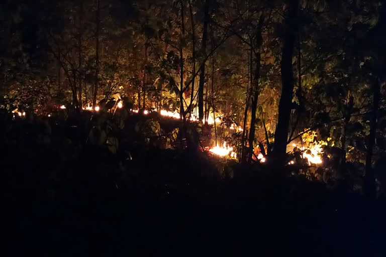 Villagers are setting fire for mahua in Jashpur forest