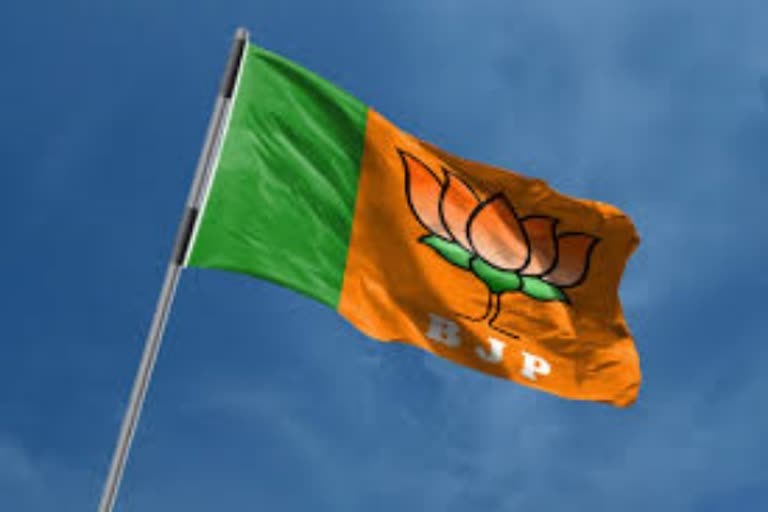 List of BJP standing constituencies and candidates