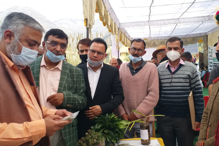 Herb Purchasing Sales Conference organized in Bilaspur