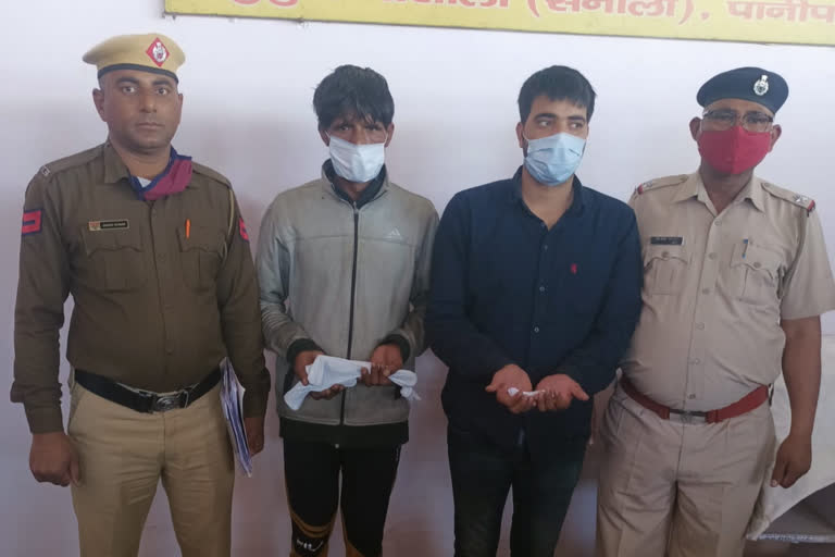 Two accused holding illegal pistols and ammunition arrested in panipat