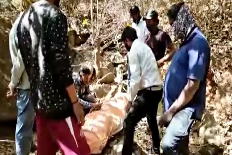 माउंटआबू न्यूज  युवक का शव  जंगल में शव  Dead bodies in the forest  Dead body  Mountabu news  Sirohi News  Dead body found in forest