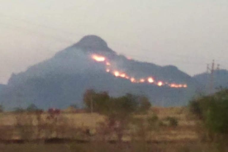 ಕಾಡು ಭಸ್ಮ