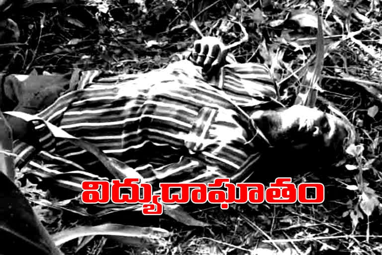 Farmer dies of electric shock  in Karimnagar district